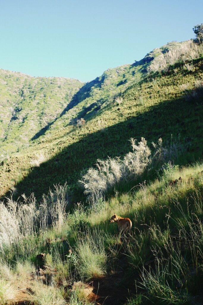 road trip destinations near manila zambales