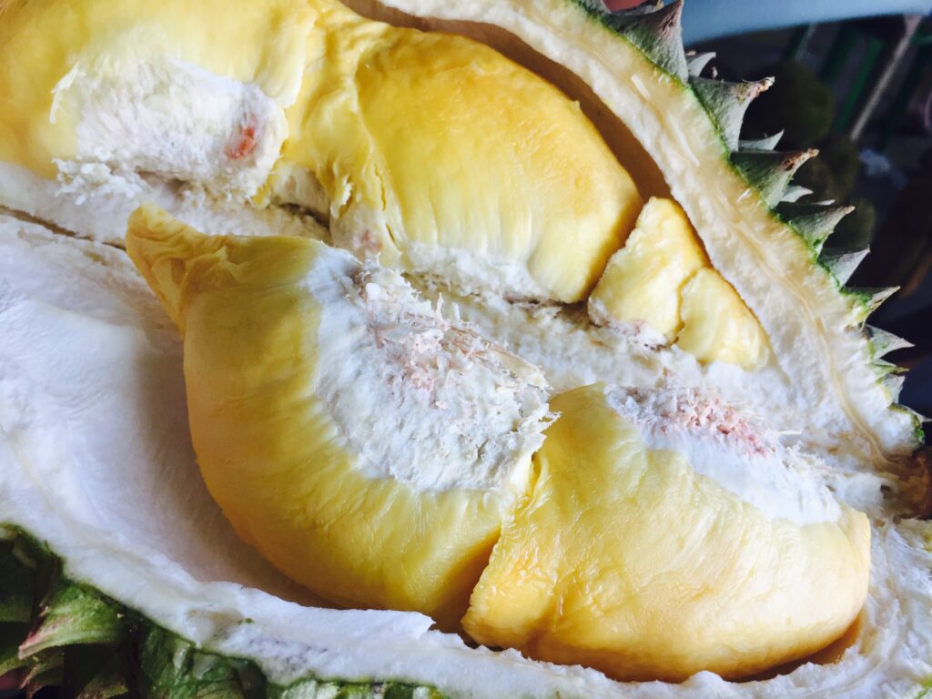 why visit davao durian