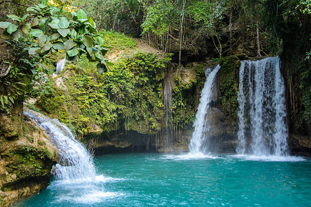 kawasan falls cebu road trip