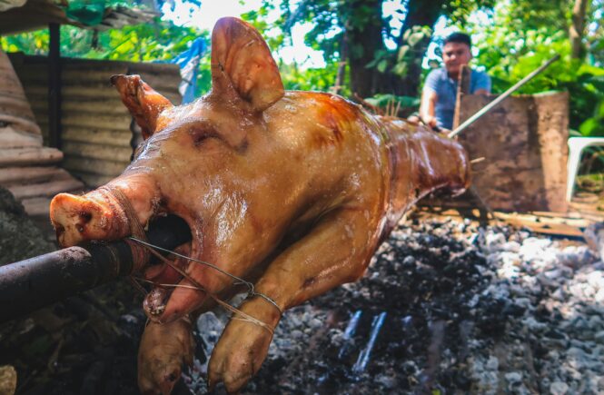 budget travel in cebu lechon